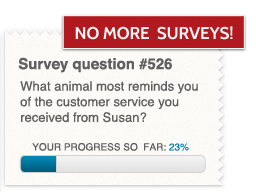 A bad survey image snippet